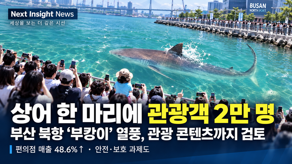 상어 한 마리에 관광객 2만 명…부산 북항 ‘부캉이’ 열풍, 관광 콘텐츠까지 검토