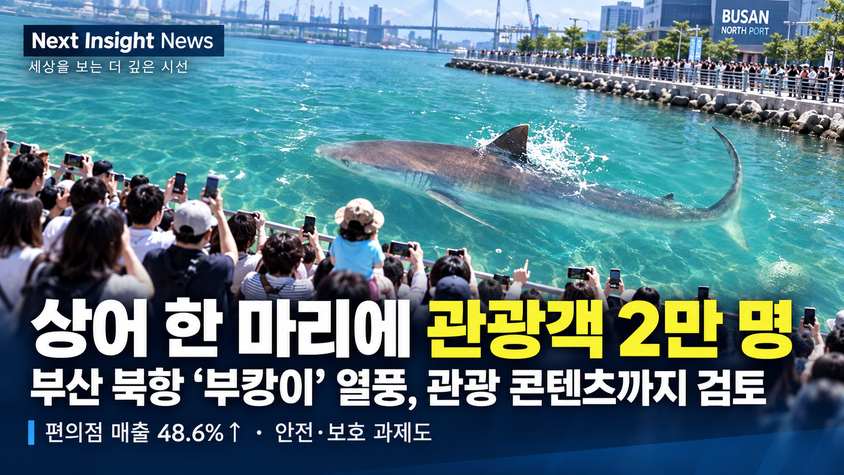 상어 한 마리에 관광객 2만 명…부산 북항 ‘부캉이’ 열풍, 관광 콘텐츠까지 검토